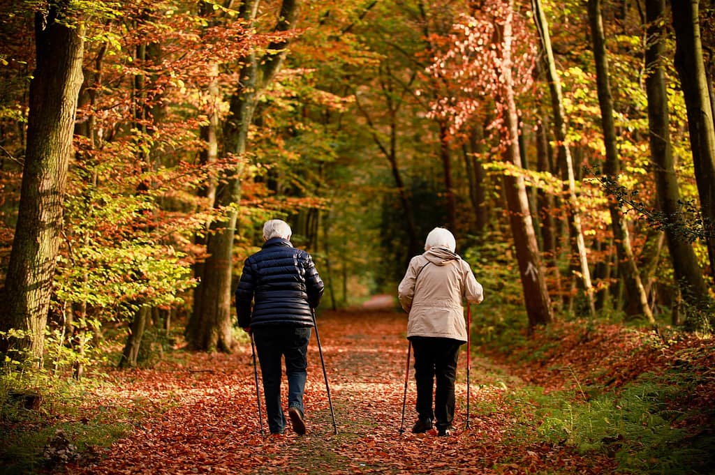 Two elderly women walking on a forest trail in autumn, surrounded by red and yellow leaves.