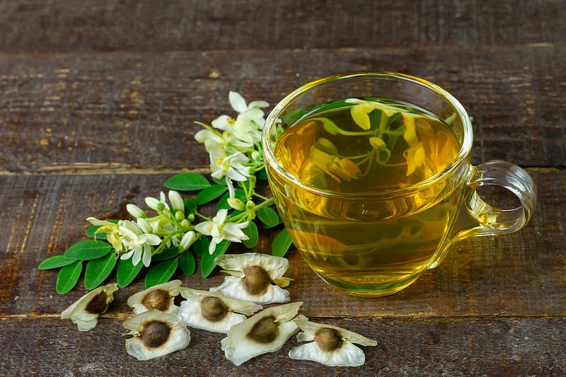Vibrant yellow-orange Moringa tea in a clear mug, accompanied by fresh Moringa leaves, white flowers, and dried seeds, highlighting the nutritional powerhouse that is Moringa (Moringa oleifera).